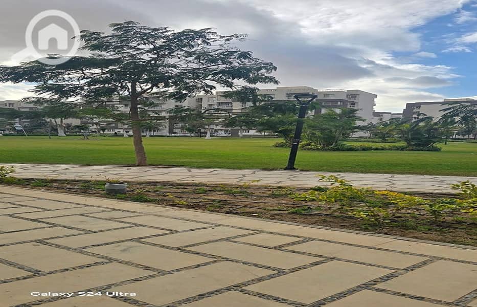 8 c9eba189-350c-430f-87fd-b7232213bfa7. jpg