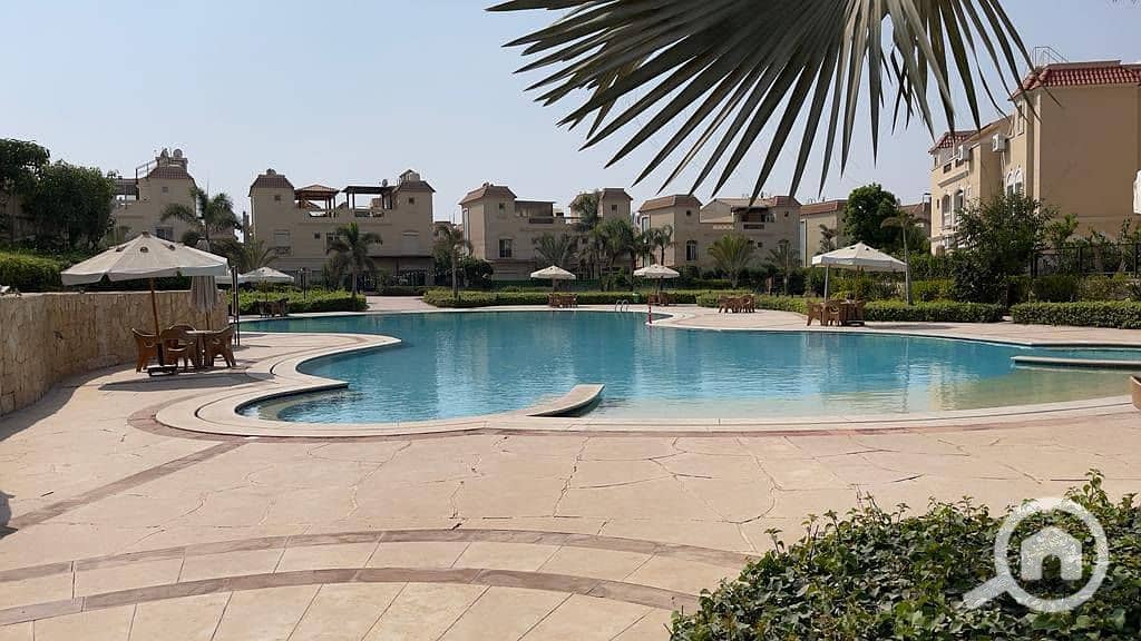 12 496303483_24091114890526360_1326447921068224231_n. jpg