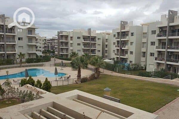 7 ذا-ادريس. jpg