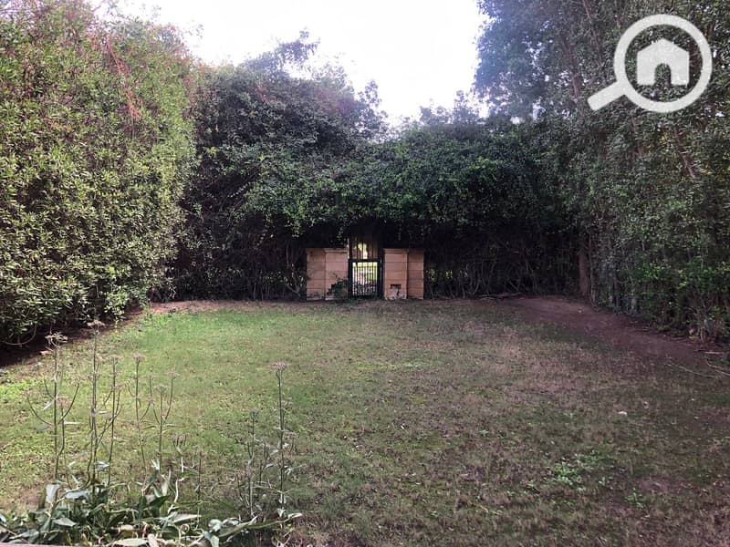 2 38c21c61-ec2c-4460-b490-5f63c8b79696. jpg