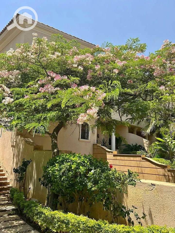 3 506686962_9994417794012038_1748675387468767072_n. jpg