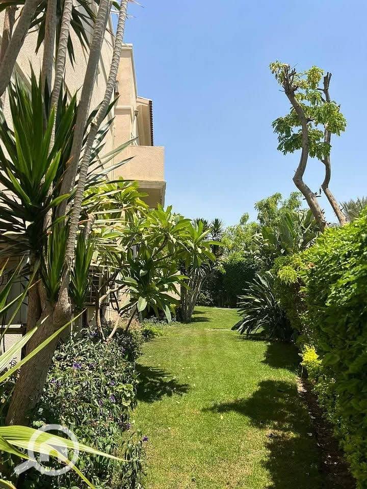 4 506831917_2125581357915044_565761384314927699_n. jpg