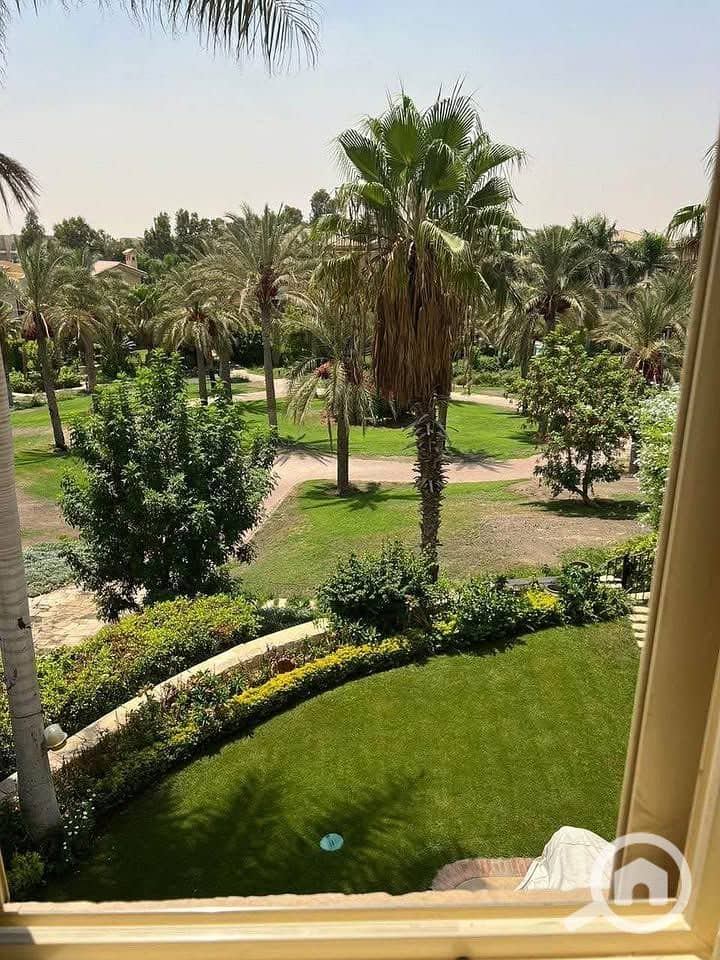 5 506946607_1376242690260514_4225935556981367695_n. jpg