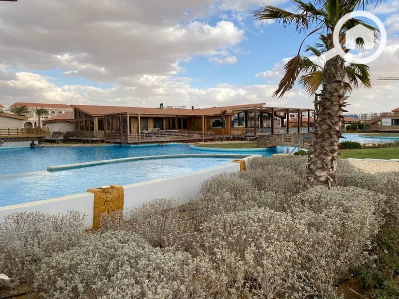 10 edaa8677-f544-40ad-8dd4-0ef20c98e3d2. jpg