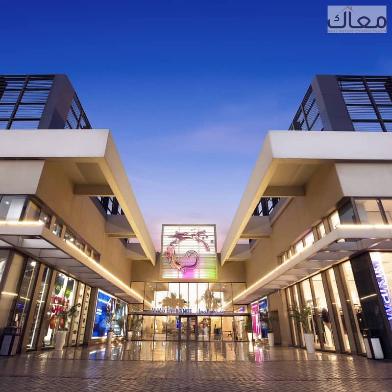 3 Cairo_1400x1400. jpg