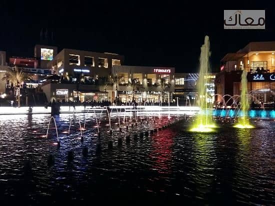 9 20160416-213043-largejpg. jpg