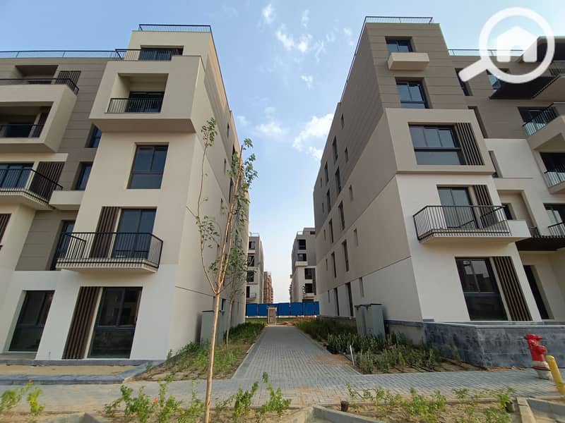 3 IMG_20231009_170352. jpg