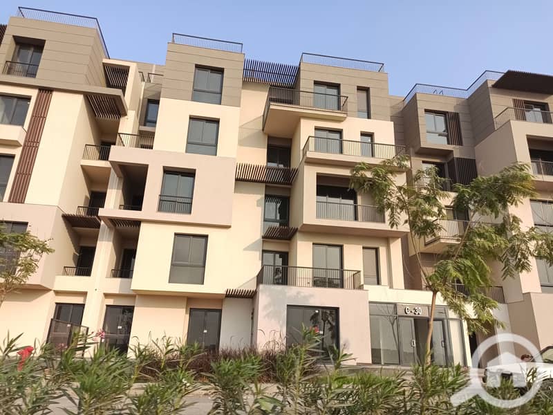 5 IMG_20231009_165952. jpg