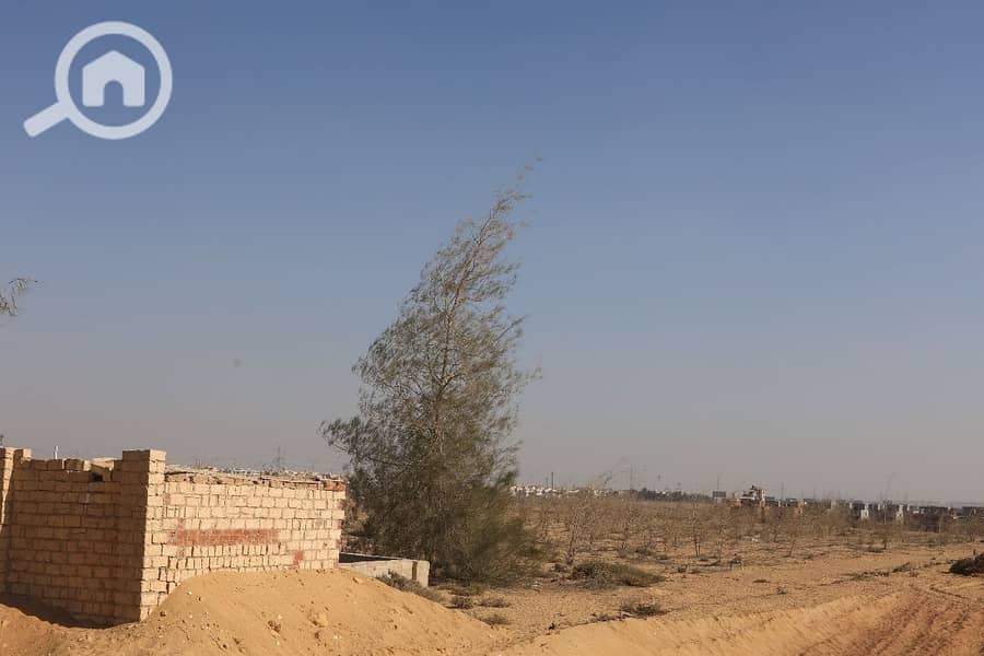 7 WhatsApp Image 2025-12-07 at 13.17. 11_1f8173b4. jpg