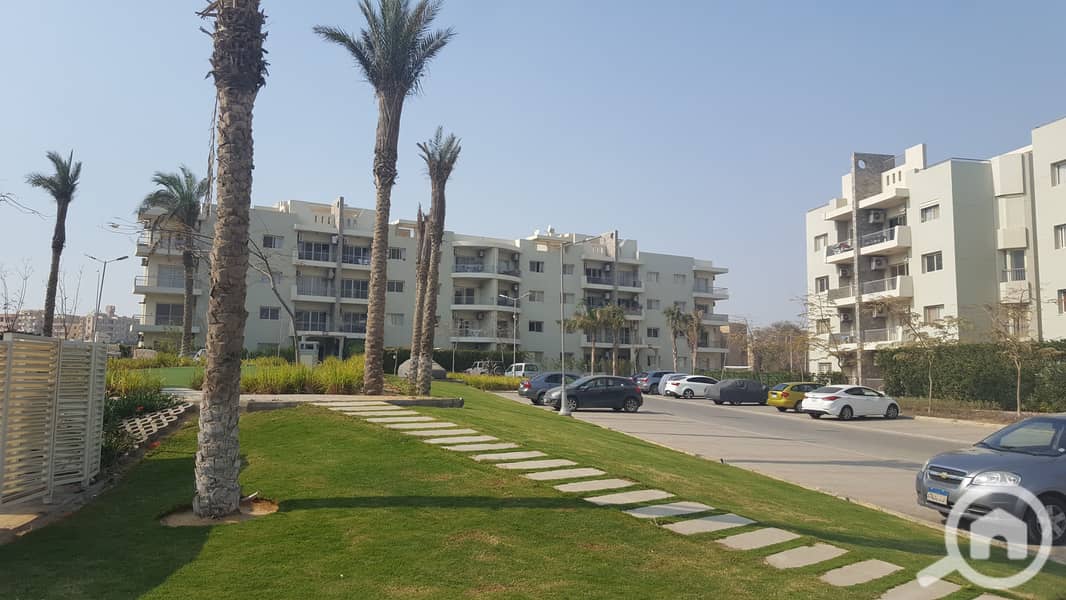 6 20170326_150647. jpg