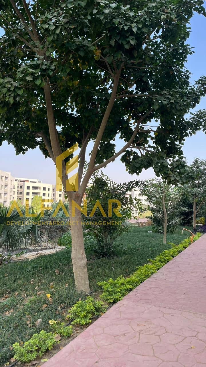 4 WhatsApp Image 2025-12-24 at 17.54. 07 (3) (1). jpeg