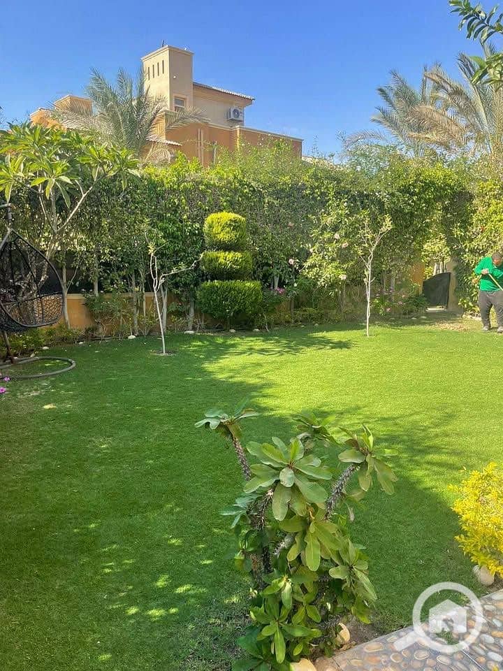 10 547449808_3468637743476927_3968614678706727295_n. jpg