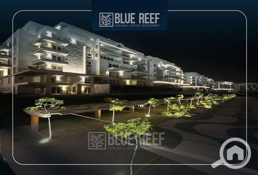 10 Bluereef  - Templete. psdsdfcv fghjk. jpg