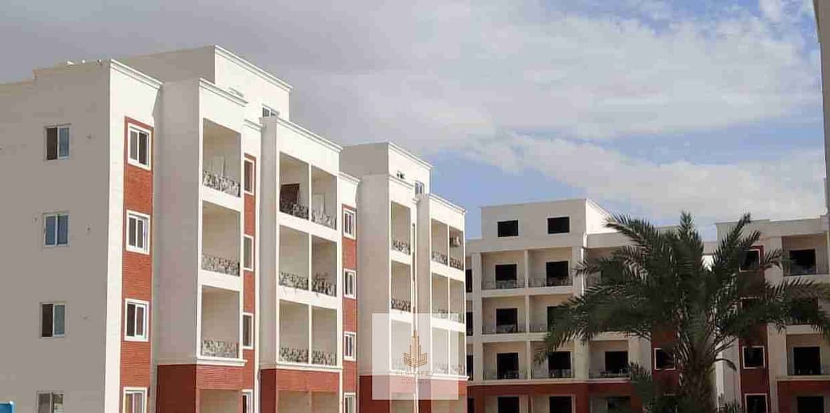 7 IMG-20251213-WA0145. jpg