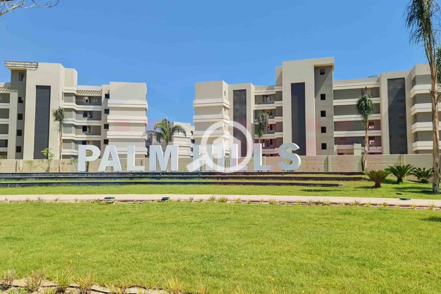 2 WhatsApp Image 2025-12-29 at 09.39. 41. jpg