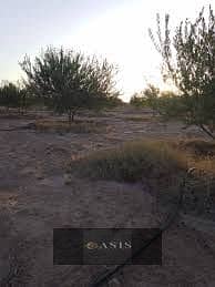 Residential Land for Sale in Sheikh Zayed, Giza - images - 2025-12-30T141358.952. jpg