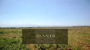 3 images - 2025-12-30T141335.026. jpg