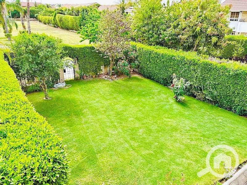 4 499137979_122224312766197794_3423173932978903367_n. jpg