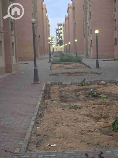 Garage for Rent in New Cairo, Cairo - 1000682828. jpg