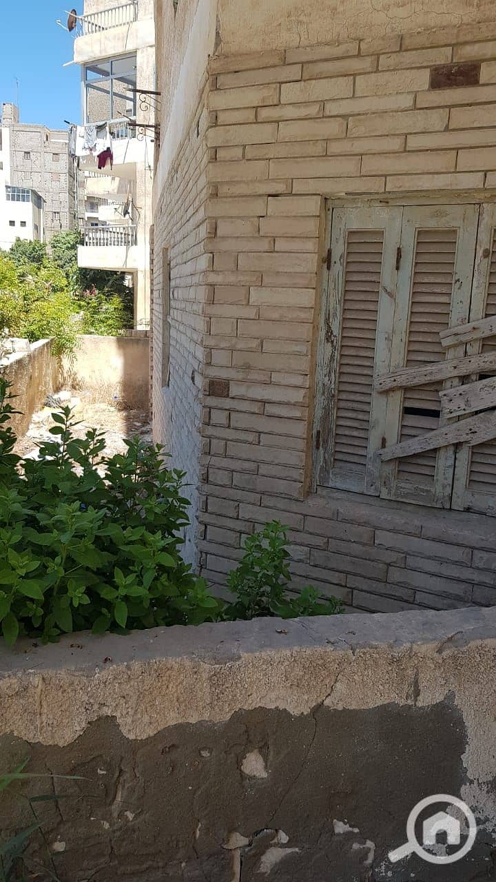 3 WhatsApp Image 2025-06-24 at 4.07. 23 PM (1). jpeg