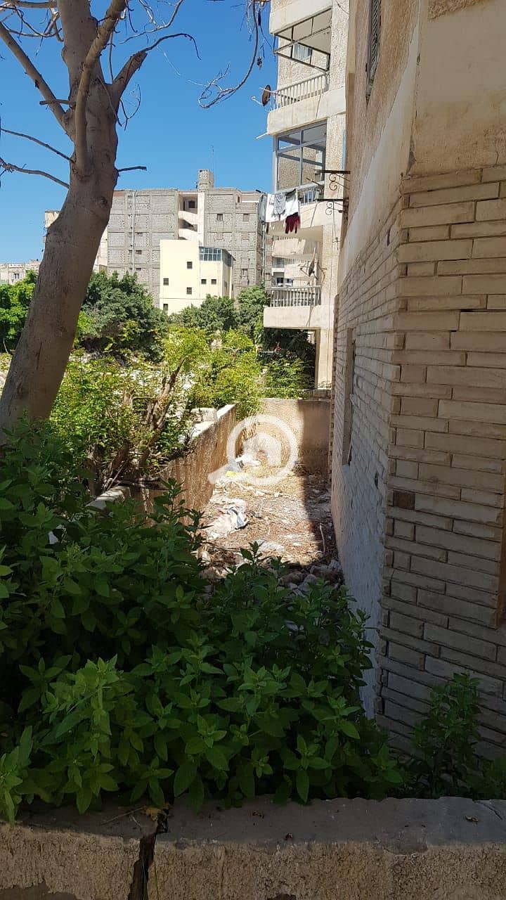 4 WhatsApp Image 2025-06-24 at 4.07. 23 PM (2). jpeg