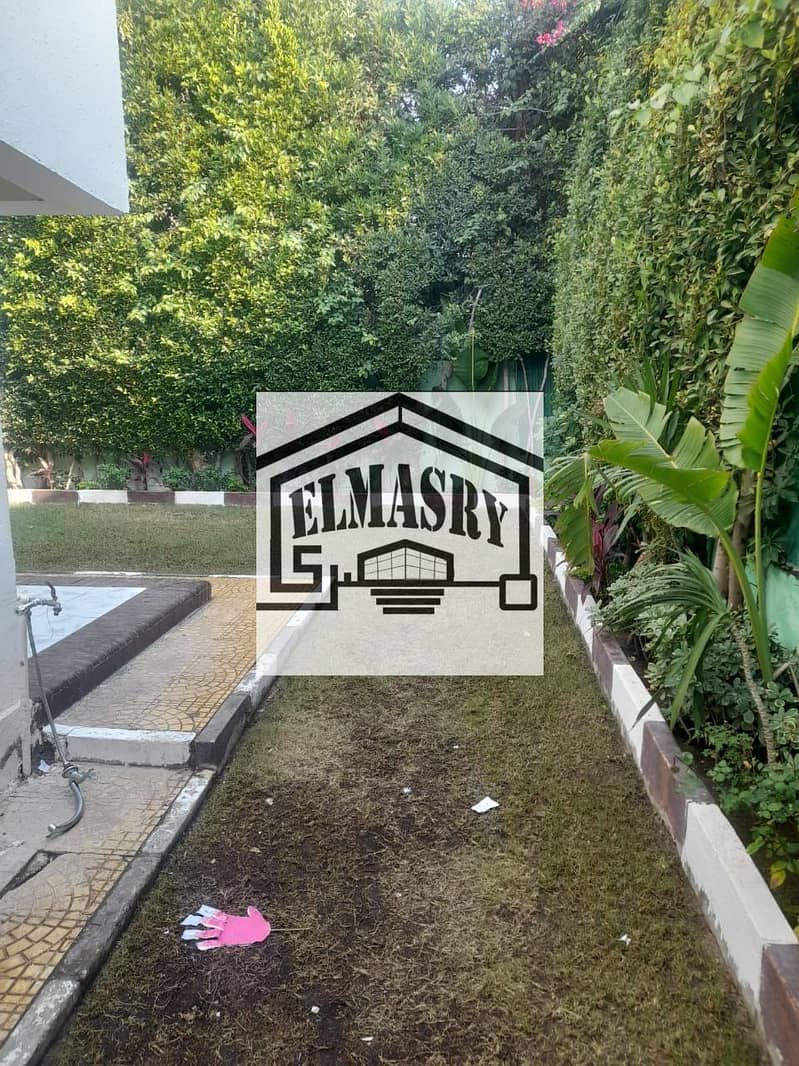 2 cbe6683d-b73d-47ba-89e4-13e618633f69. jpg