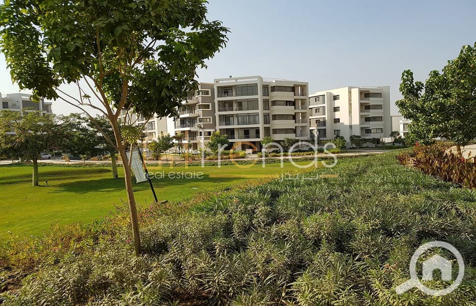 2 20181129_140213. jpg