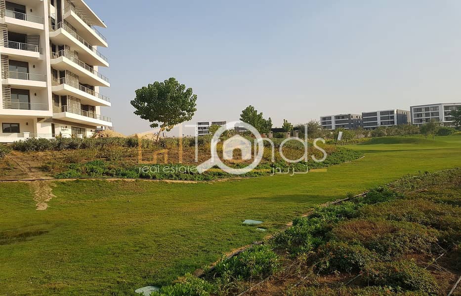 3 20181129_144208. jpg