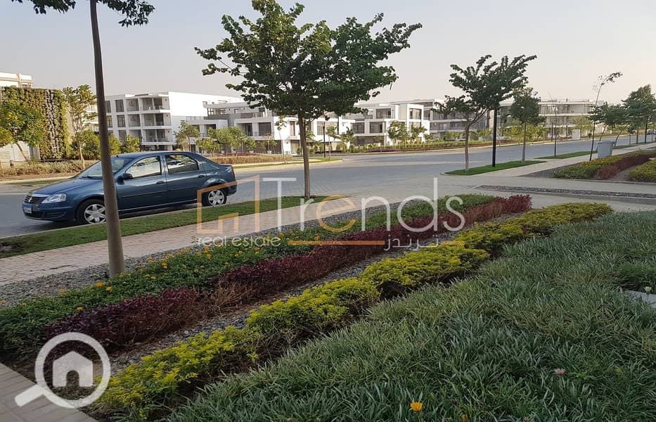 6 20181129_150931. jpg