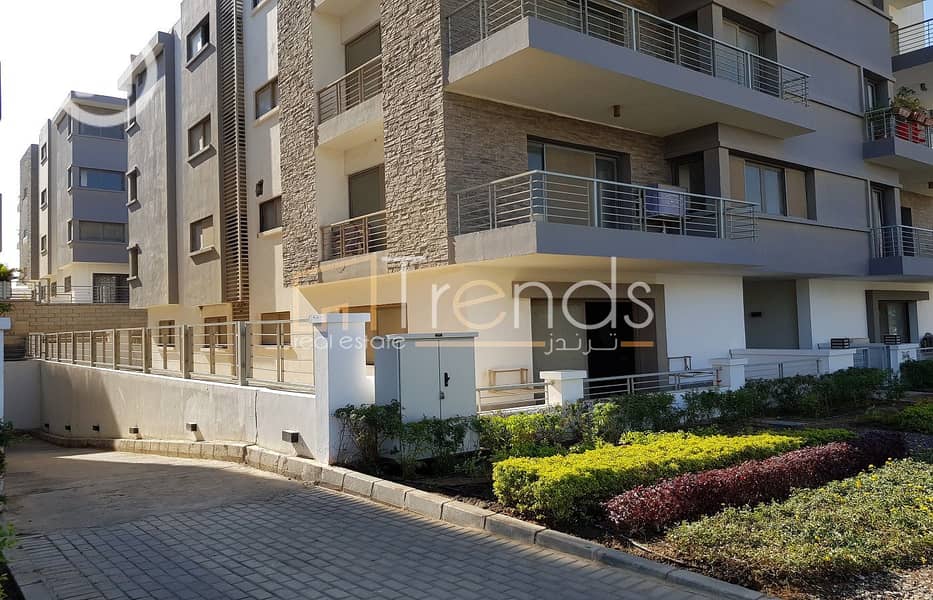 10 20181226_110035. jpg