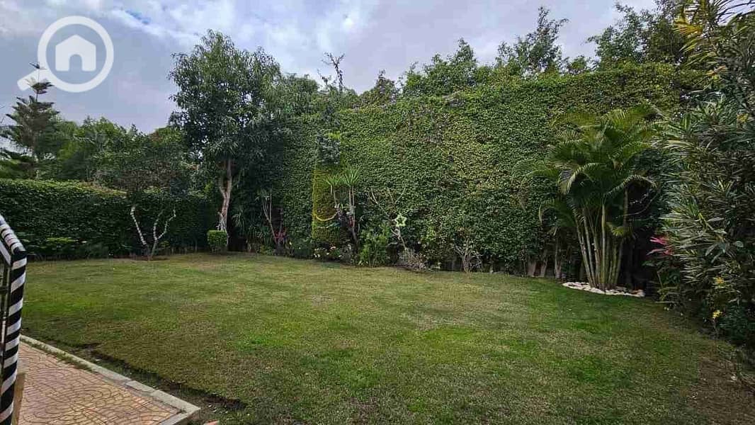 1000065515. jpg 1000065515. jpg