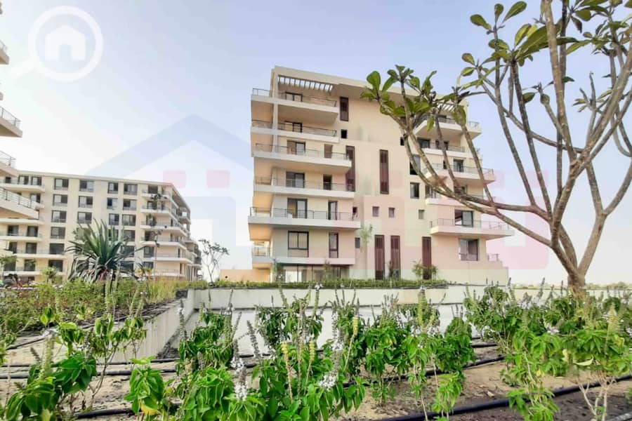 4 IMG-20251023-WA0022. jpg