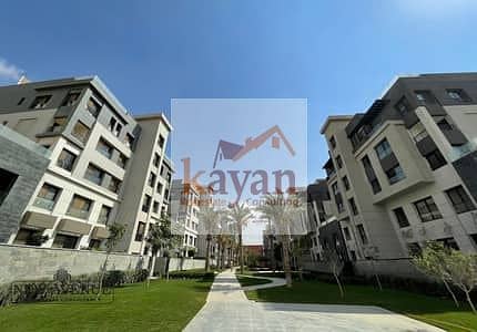 7 159569248-400x300. jpeg