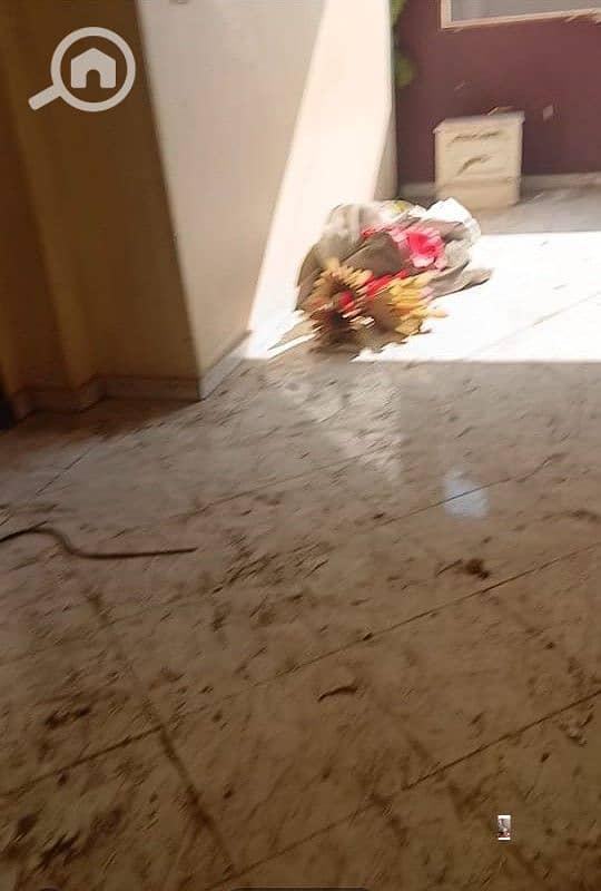 WhatsApp Image 2025-12-01 at 3.31. 36 PM. jpeg WhatsApp Image 2025-12-01 at 3.31. 36 PM. jpeg