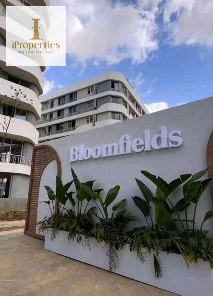 10 584745378_122262345158086963_5339411289460827381_n. jpg