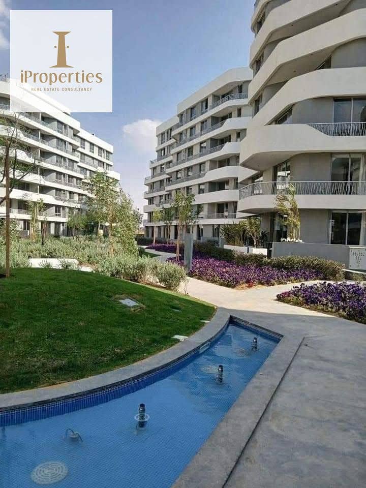 11 584989265_122262345296086963_903479384675157313_n. jpg