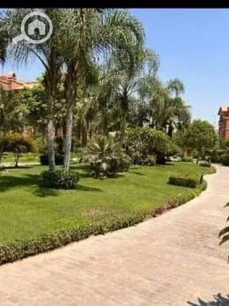 8 159370953-800x600. jpg