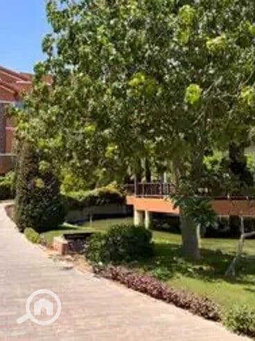 9 68f8ae49ee9bd555479497. jpg