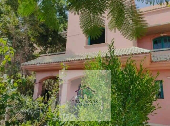 3 fc27fa3e-f957-4fbf-934e-cf512abdcad4. jpg