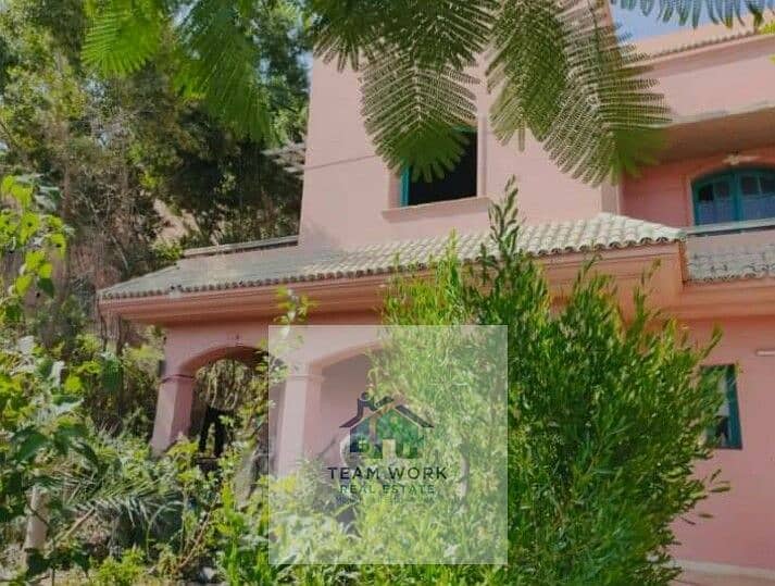 4 39d8bb20-bd90-4d08-8631-13c8197f3b5e. jpg