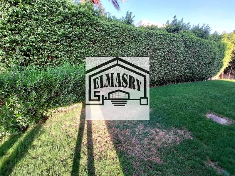 13 dddc9b5b-ab02-4306-a614-e5064594fc42. jpg