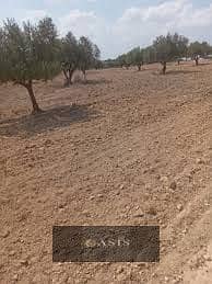 أرض سكنية  للبيع في الشيخ زايد، الجيزة - images - 2025-12-30T142736.659. jpg