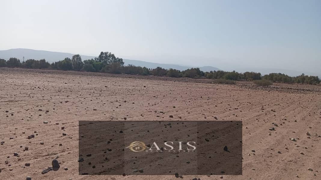 3 6939c1483f2d3. jpg