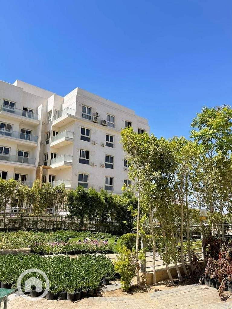 15 FB_IMG_1691824636660. jpg