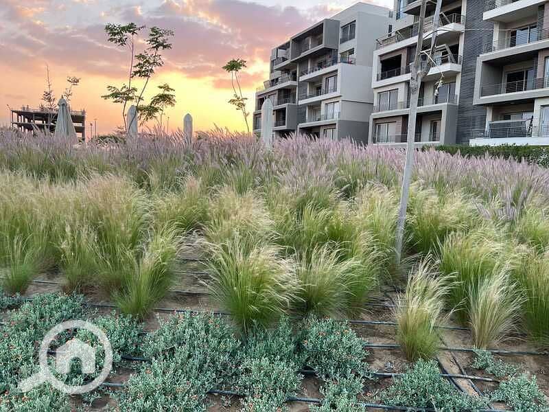 11 WhatsApp Image 2025-04-22 at 1.49. 31 PM. jpeg