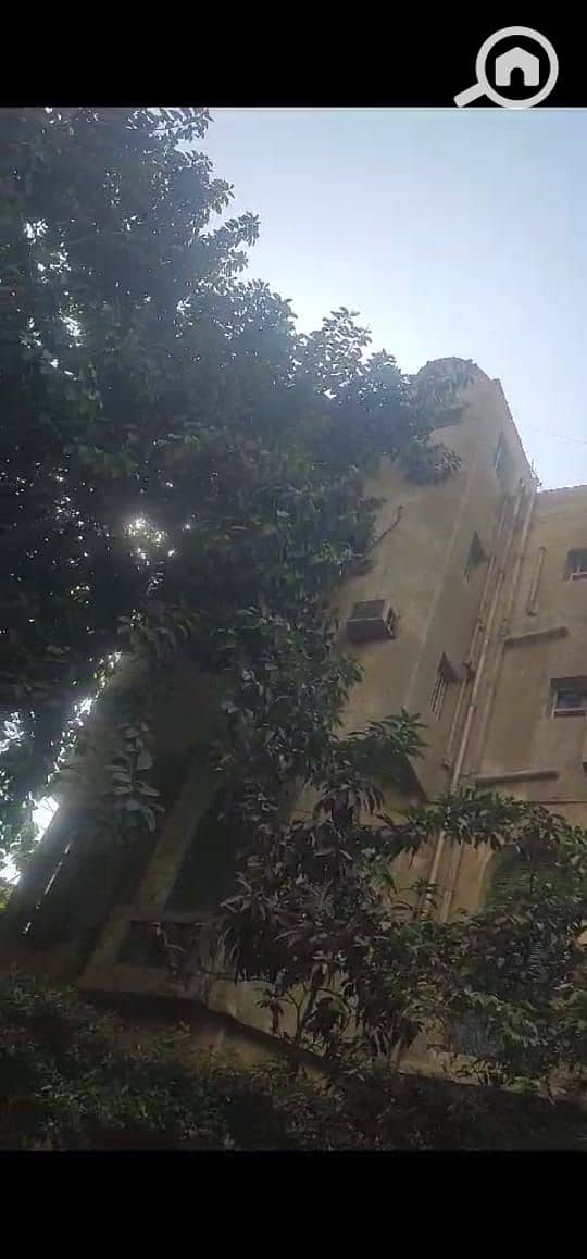 16 8014d330-880d-41f4-9039-6766dc0a6828. jpeg