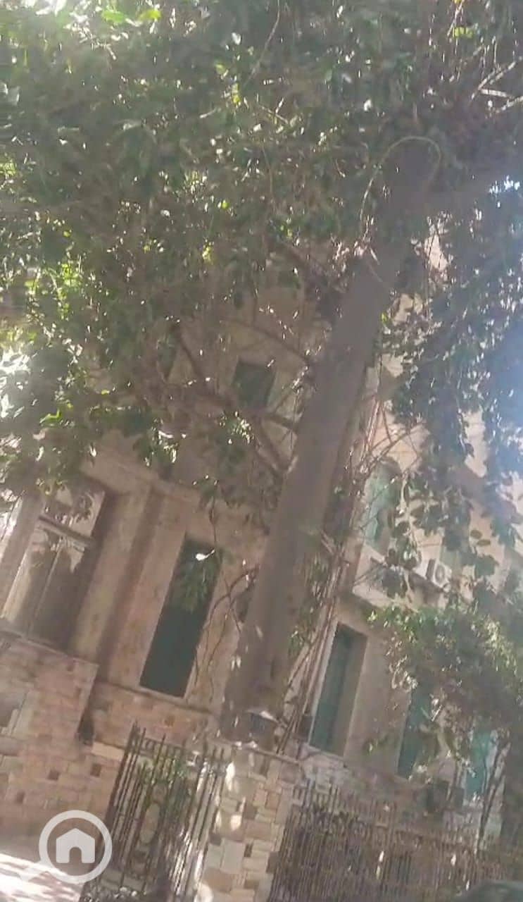 17 27490b42-fceb-4feb-a21d-fd5cfdec8f85. jpeg