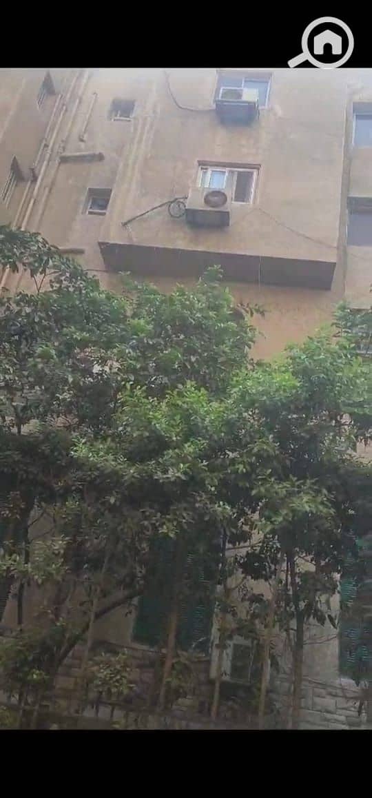 19 89695db8-d05c-4e5b-a1f8-7925223ff4e6. jpeg