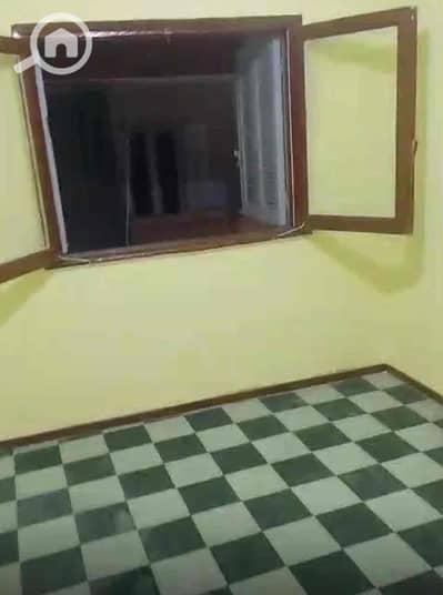 3 Bedroom Apartment for Rent in Miami, Alexandria - 7c21fefd-8b5e-4df5-a672-fc20b5af0d10. jpg