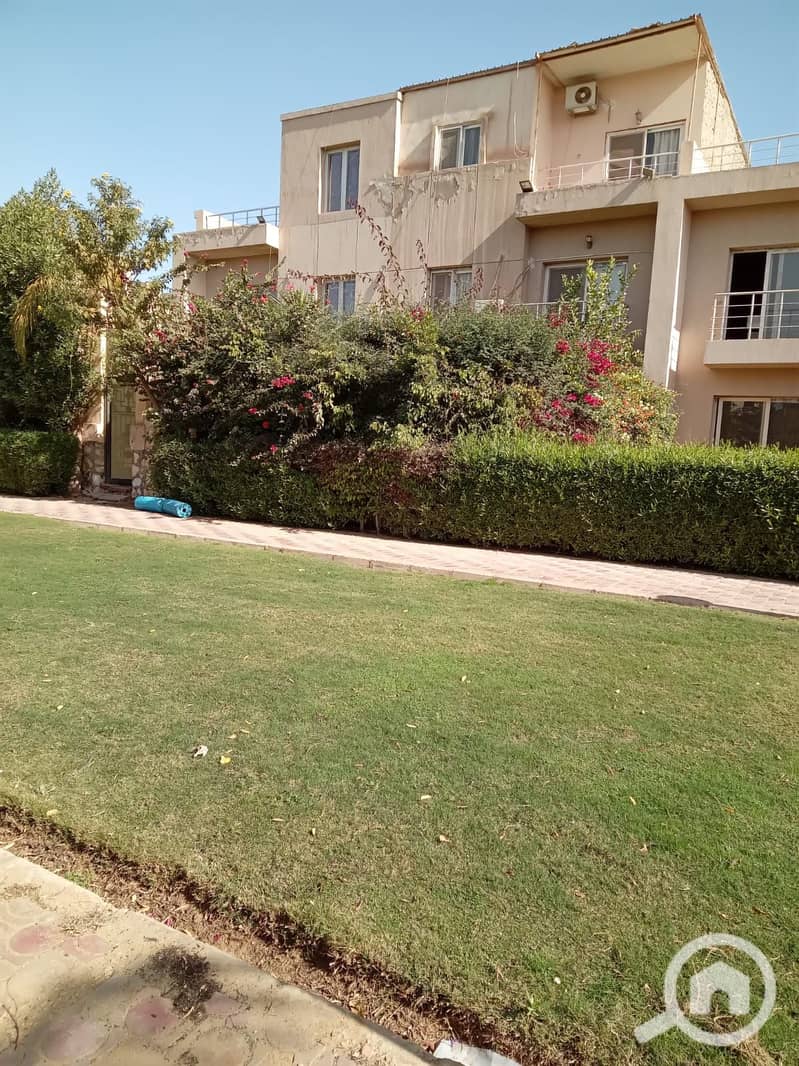 3 63e66e8e-bdb6-4996-91d2-c61940e0159e. jpg